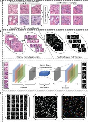 Densely Convolutional Spatial Attention Network for nuclei segmentation of histological images for computational pathology